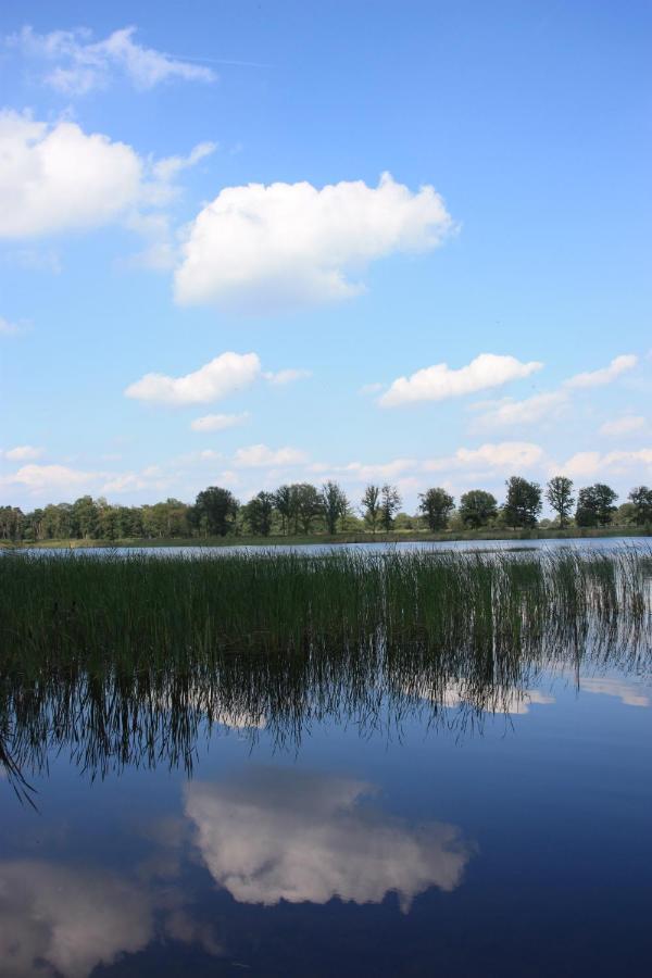 Vakantiehuis Appelvink, Toplocatie In Bosrijke Omgeving 오이스터위지크 외부 사진