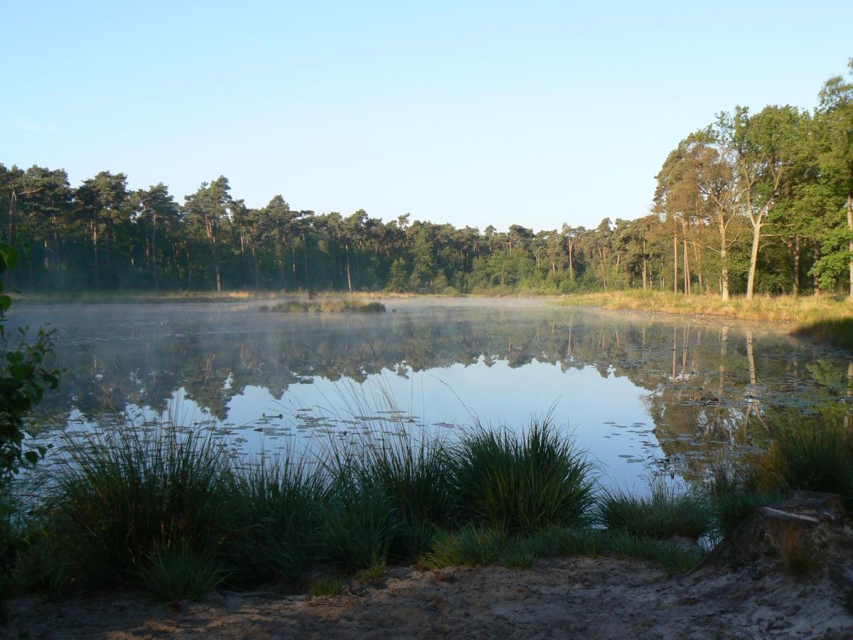 Vakantiehuis Appelvink, Toplocatie In Bosrijke Omgeving 오이스터위지크 외부 사진