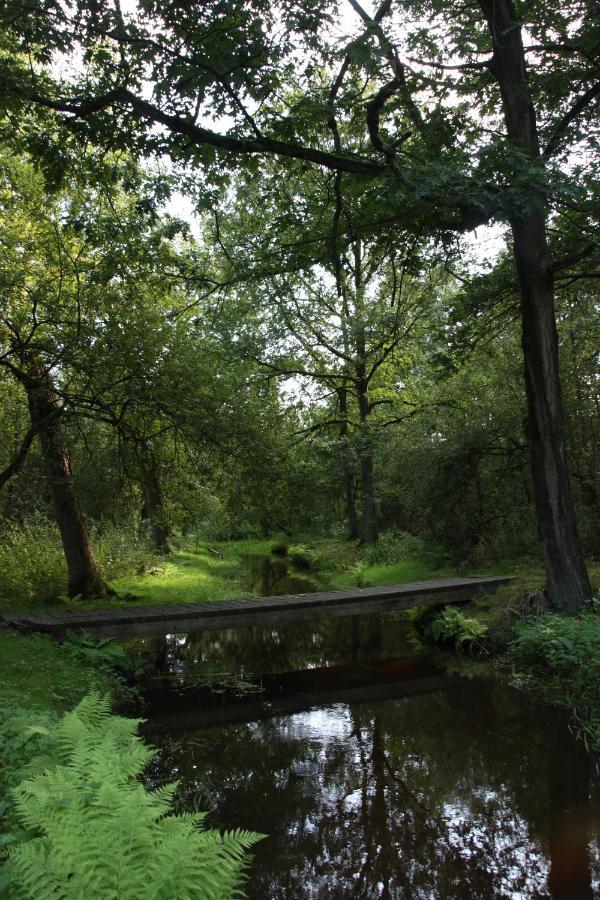 Vakantiehuis Appelvink, Toplocatie In Bosrijke Omgeving 오이스터위지크 외부 사진