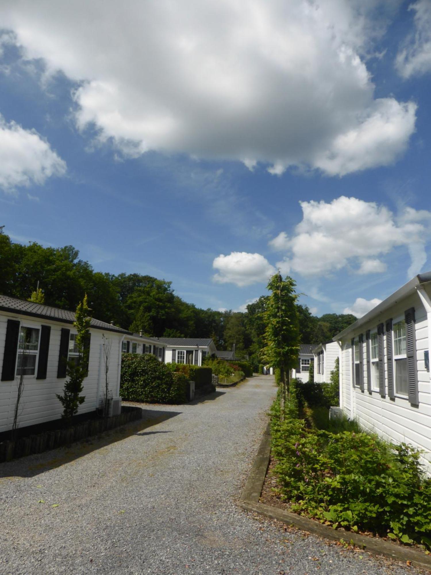 Vakantiehuis Appelvink, Toplocatie In Bosrijke Omgeving 오이스터위지크 외부 사진